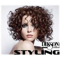 Styling Dikson - gel, lak za lase, preparati za kodranje